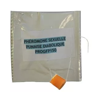 Sachet d'une capsule de phéromone sexuelle contre la punaise diabolique - Pour piège Diablex