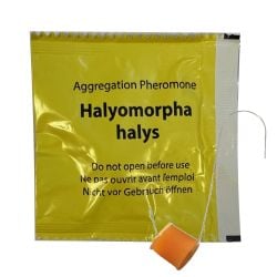 Sachet d’une capsule de phéromone d’agrégation contre la punaise diabolique - Pour piège Diablex