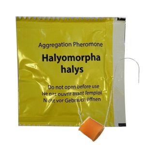 Sachet d’une capsule de phéromone d’agrégation contre la punaise diabolique - Pour piège Diablex