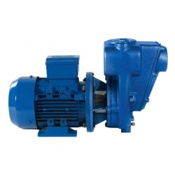 Pompe à engrais monobloc triphasée 450L/min - 1,5 kW - 380 V Renson
