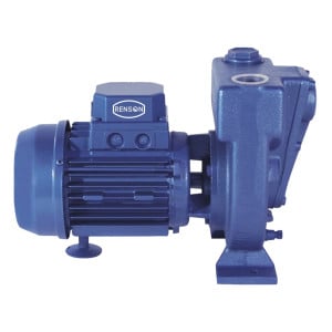 Pompe à engrais triphasée 900L/min - 3 kW - 380 V Renson