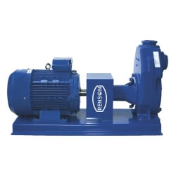 Pompe à engrais triphasée 600L/min - 3 kW - 380 V Renson