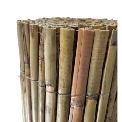 Canisse Roseaux Premium spéciale PAILLOTE, longueur 5 m