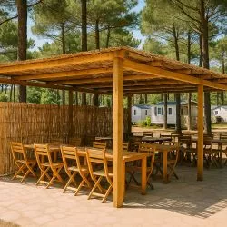 Canisse Roseaux Premium spéciale PAILLOTE, longueur 5 m