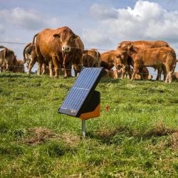 Électrificateur solaire 20 Watt S200 Gallagher