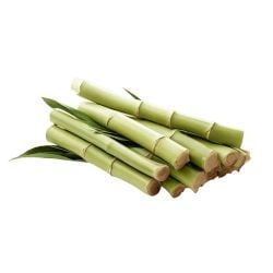 Mélasse de Canne GREENMELASSE VERAGROW Cuve 1000 L