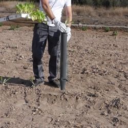 Plantoir manuel bulbes et légumes Pulmiplant Kamikaze avec pointe renforcée