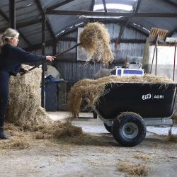 Remorque basculante JFC Agri, 500 L, tout terrain à vérin à gaz