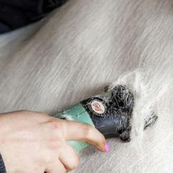 Tondeuse Lister Star filaire tonte intégrale chevaux, livrée en sacoche