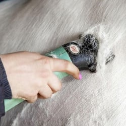 Tondeuse Lister Star filaire tonte intégrale chevaux, livrée en carton