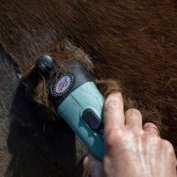Tondeuse Lister Star filaire tonte intégrale chevaux, livrée en carton