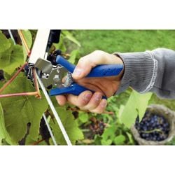 Pince vigne à ligaturer Rapid LIG150