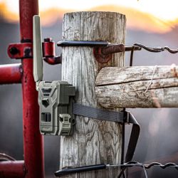 Piège photographique Caméra de Chasse 4G + GPS Flex-M Spypoint