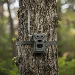Pack de 2 Pièges photographiques Camera de Chasse 4G + GPS Flex-M Spypoint