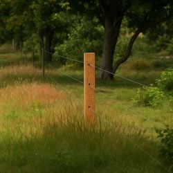Piquet intermédiaire bois Insultimber 3,8 x 2,6 cm, haut. 0,95 m Gallagher