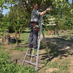 Échelle fruitière de cueillette aluminium 8 échelons, hauteur travail max. 3,30 m