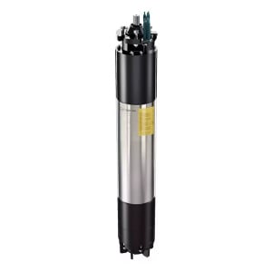 Moteur 10" Calpeda 110,00 kW - 209,70 A - 400 Volts - Inox 304