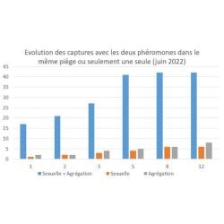 Sachet d'une capsule de phéromone sexuelle contre la punaise diabolique - Pour piège Diablex