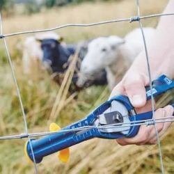 Agrafes grillage galva Rapid VR16 (x1390) pour pince à grillage FP20