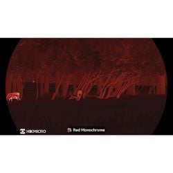 Monoculaire vision thermique Lynx LH25 3.0 - HIKMICRO