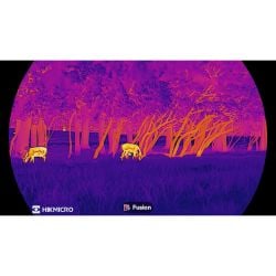 Monoculaire vision thermique Lynx LH25 3.0 - HIKMICRO