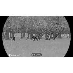 Monoculaire vision thermique Lynx LH25 3.0 - HIKMICRO