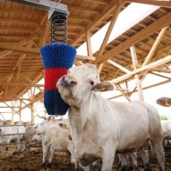 Brosse à vache HappyCow FlexiSwing Kerbl
