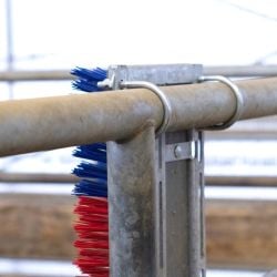 Brosse HappyCow Bully, 90x30 cm, rouge et bleu Kerbl