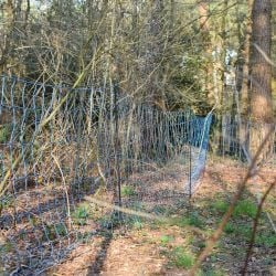 Filet anti-loups long. 50 m Gallagher