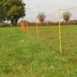 Filet moutons, orange simple pointe haut. 90 cm, rouleau de 50 m Gallagher