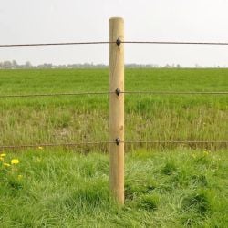 Isolateur à vis BS bois Standard