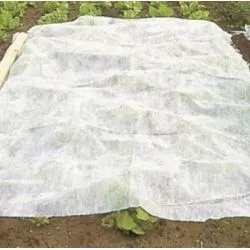 Voile d’hivernage / forçage 19 g/m² – LONODIS Ultra Large 12,75 m x 250 m