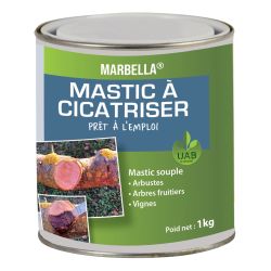Mastic à cicatriser ECOCERT à froid MARBELLA - 1 kg