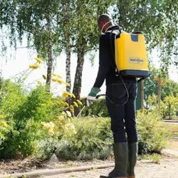 Pulvérisateur à dos pression entretenue COSMOS PRO Berthoud - 18 L