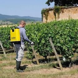 Pulvérisateur à dos pression entretenue COSMOS PRO Berthoud - 18 L