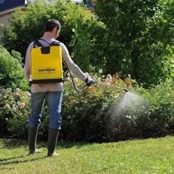 Pulvérisateur à dos pression entretenue COSMOS PRO Berthoud - 18 L