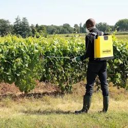 Pulvérisateur à dos pression entretenue COSMOS PRO Berthoud - 18 L