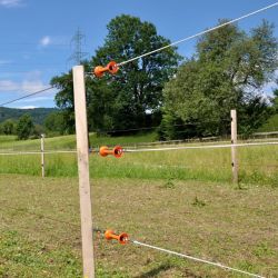 Isolateur à vis d'ancrage pour Piquet Bois sachet de 5