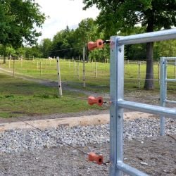 Kit porte à cordon élastique marron 3-6 m Gallagher