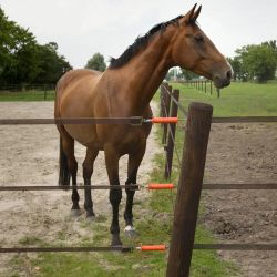 Connecteur ruban pour poignée Gallagher (4 unités)