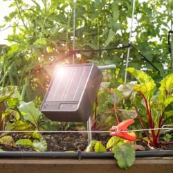 Kit Jardin et Étang S6 SOLAIRE Gallagher