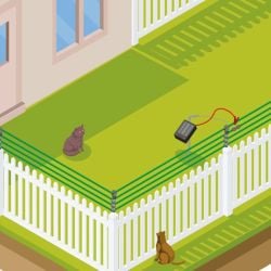 Kit de clôture électrique pour chat S6 SOLAR Gallagher