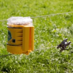 Protection contre les renards Foxlights