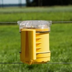 Protection contre les renards Foxlights