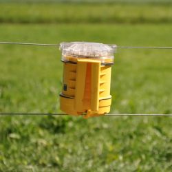 Protection contre les renards Foxlights
