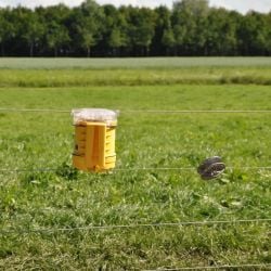 Protection contre les renards Foxlights