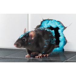 Rodenticide Racumin Foam Envu - Mousse prête à l'emploi - Bombe 500 ml