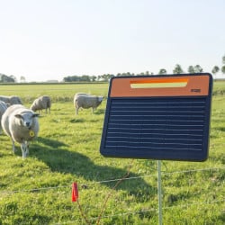 Électrificateur solaire S120li avec batterie batterie lithium (1,2 J - Solaire) Gallagher