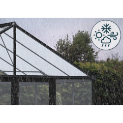Serre de jardin Aria Crystal Canopia - Structure noire - Panneaux transparents