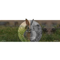 Lunette de vision nocturne Alpex Lite 4K A40EL avec télémètre - HIKMICRO